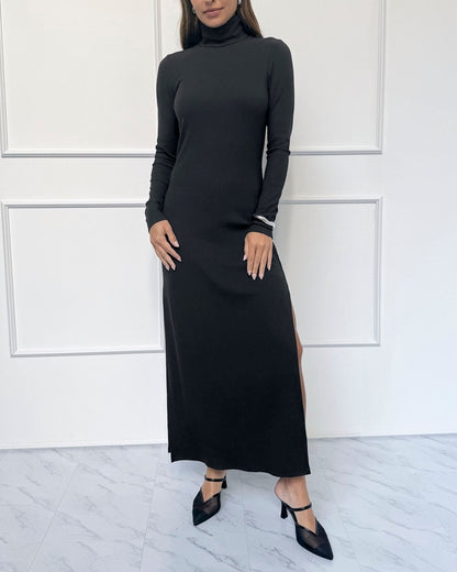 Neat Rib Turtleneck Dress