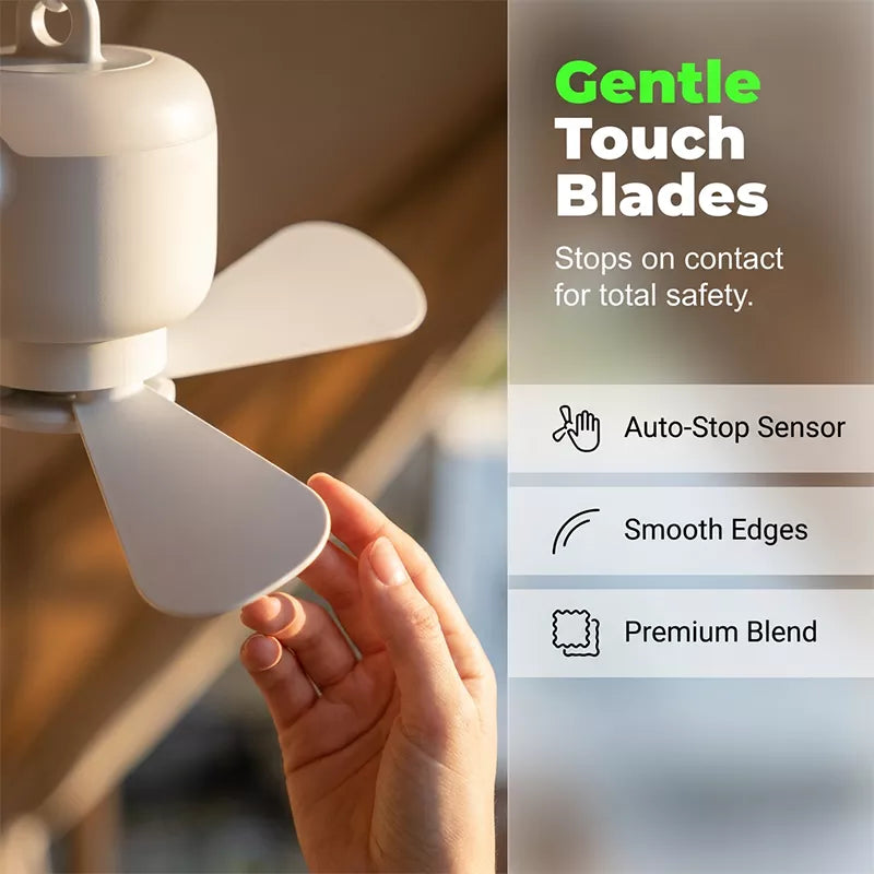 Rechargeable Ceiling Fan with LED Light
